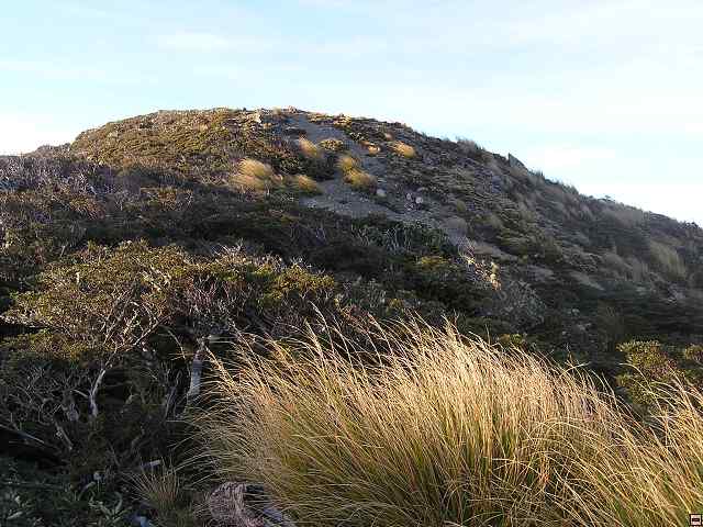 Ruahine - Sunrise Hut 037.jpg